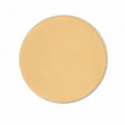 Ben Nye Neutralizer And Concealer Refill 19 Ben Nye Neutralizer And Concealer Refill