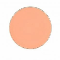 Ben Nye Neutralizer And Concealer Refill 24 Ben Nye Neutralizer And Concealer Refill