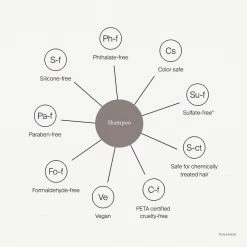 Living Proof Curl Shampoo New