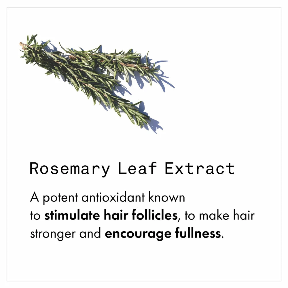 Fekkai Full Blown Volume Conditioner New 5 Fekkai Full Blown Volume Conditioner New