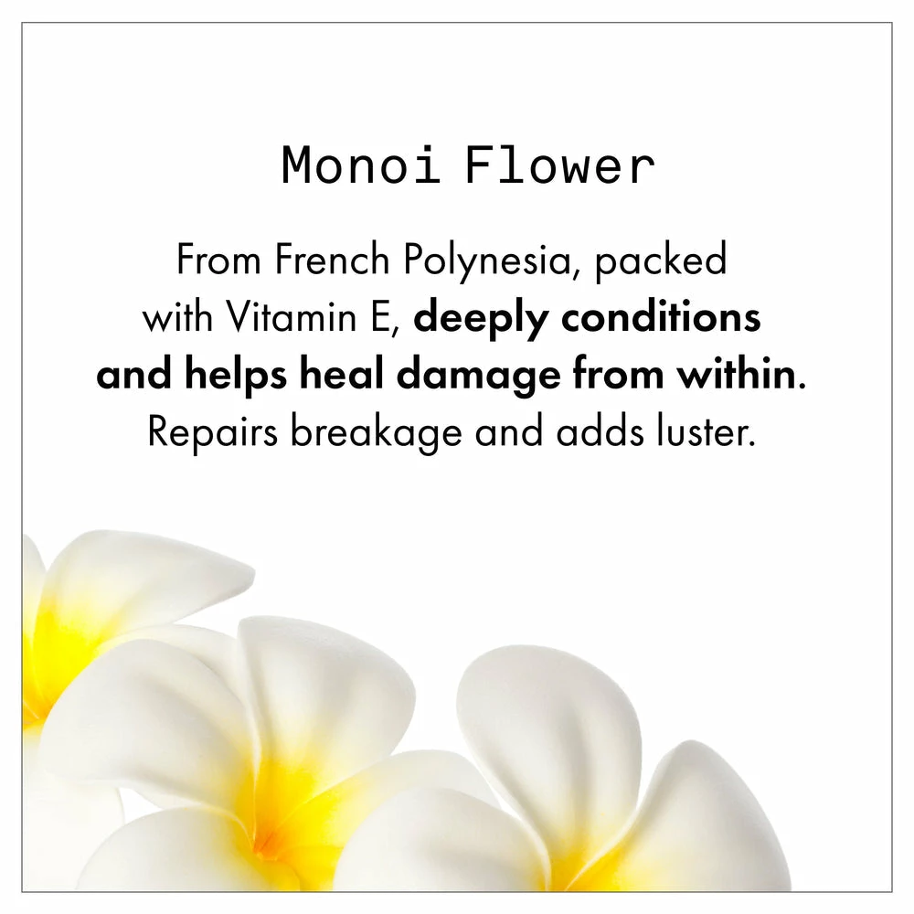 New Fekkai Shea Butter Curl Refresher 3 New Fekkai Shea Butter Curl Refresher