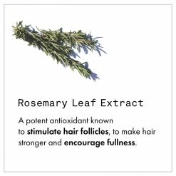 Fekkai Full Blown Volume Dry Texturizing Spray New