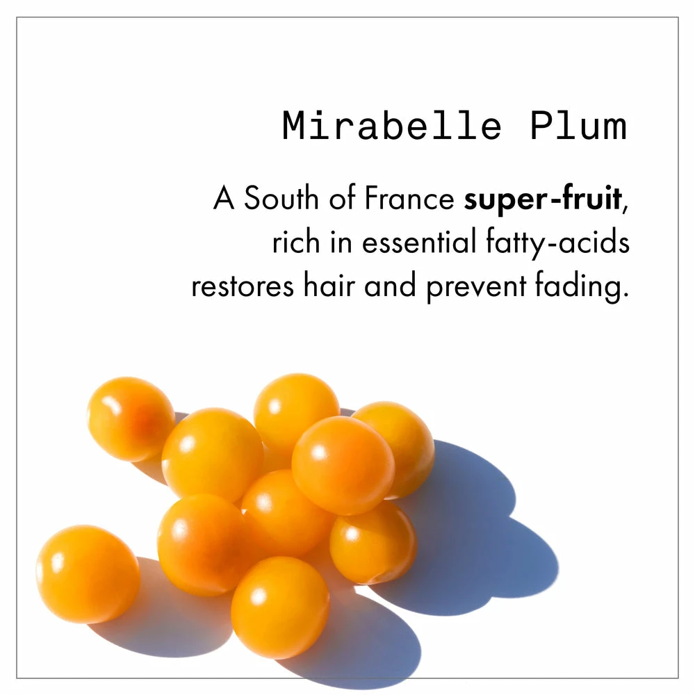 Fekkai Technician Color Conditioner 4 Fekkai Technician Color Conditioner