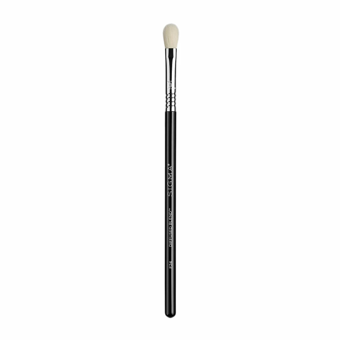 Sigma E24 Diffused Blend Brush 1 Sigma E24 Diffused Blend Brush