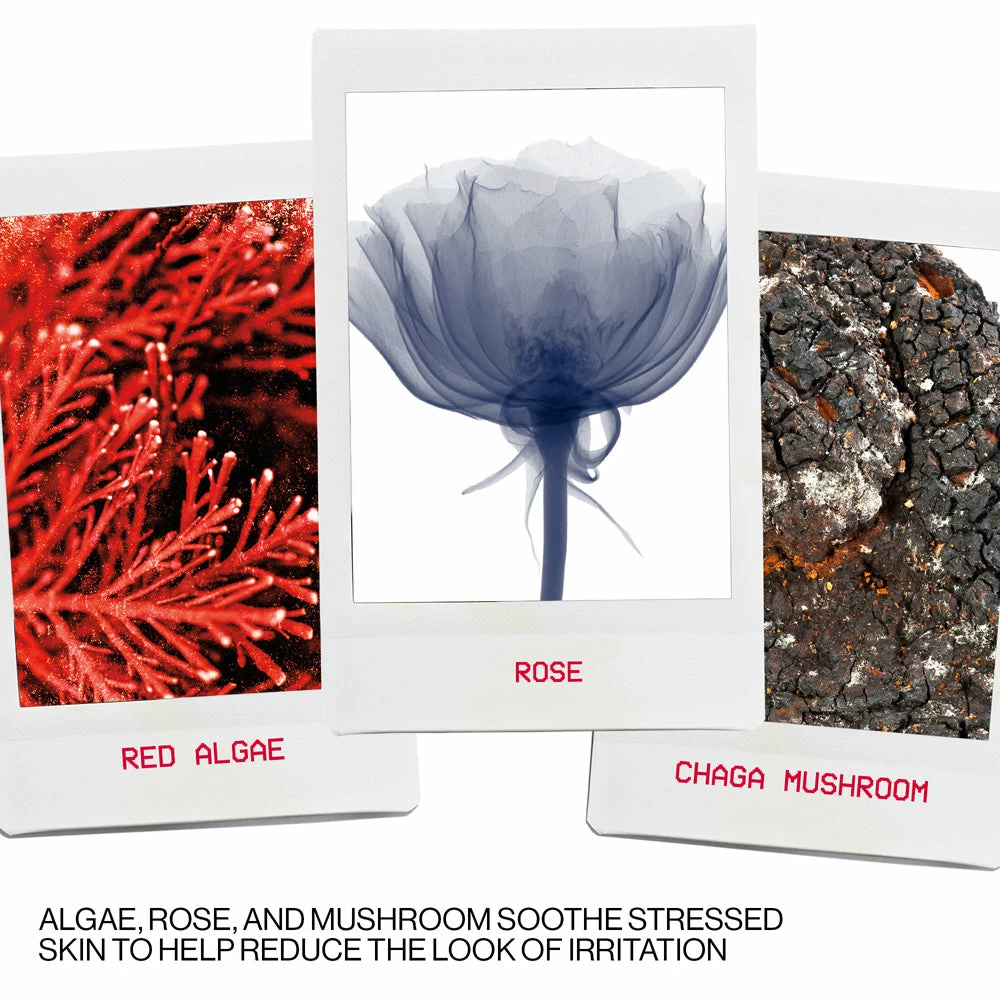 Smashbox Photo Finish Correct Anti Redness Primer Face 7 Smashbox Photo Finish Correct Anti Redness Primer Face