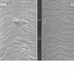 Hair Care Living Proof No Frizz Shampoo 8.0 Oz 5 Hair Care Living Proof No Frizz Shampoo 8.0 Oz