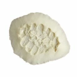 Rubber Wear Bite Mark #2 Foam Latex Prosthetic (FRW-086)