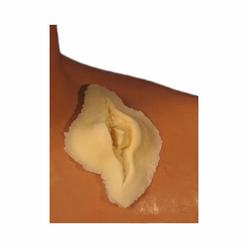 Rubber Wear Deep Bone Gash Foam Latex Prosthetic (FRW-045) Special FX 1 Rubber Wear Deep Bone Gash Foam Latex Prosthetic (FRW-045) Special FX