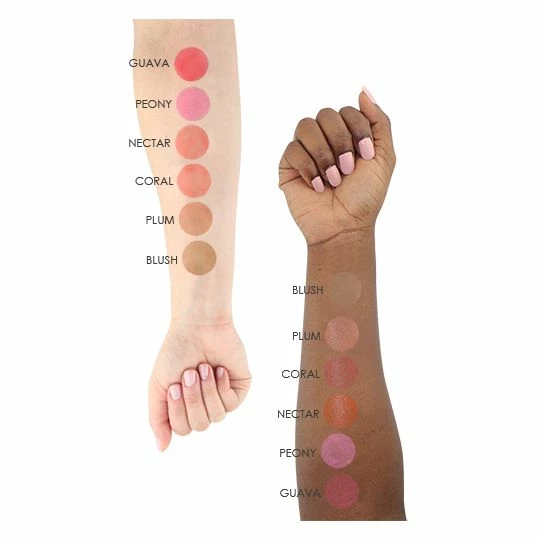 Temptu S/B Blush Airbrush Starter Set 1/4 Oz 2 Temptu S/B Blush Airbrush Starter Set 1/4 Oz