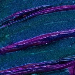 New Karla Cosmetics Shadow Potion Gel Eyeshadow 29 New Karla Cosmetics Shadow Potion Gel Eyeshadow