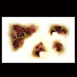 Special FX Tinsley Transfers Zombie Rot - 3D FX Transfer